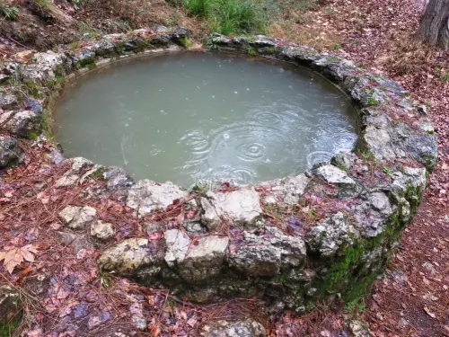 Fuentes-Calar-del-Mundo-La-Pedorrilla-Riopar4