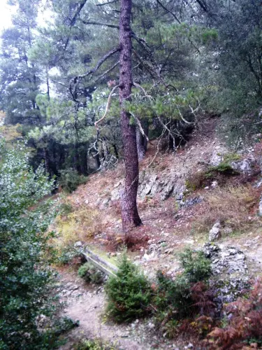 Fuentes-Calar-del-Mundo-Las-Raigadas-de-Arriba