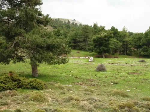 Fuentes-Calar-del-Mundo-Media-Fanega