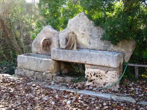 Fuentes-Cerca-de-Villamalea