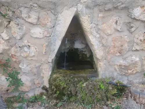 Fuentes-Cerca-de-Villamalea4