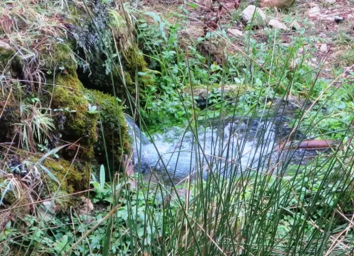 Fuentes-Charco-Pataco-Letur