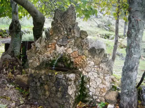 Fuentes-Cortijo-del-Tejo-Villaverde-de-Guadalimar3