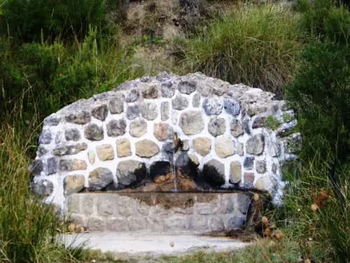 Fuentes-Cotillas4-en-la-base-del-calar