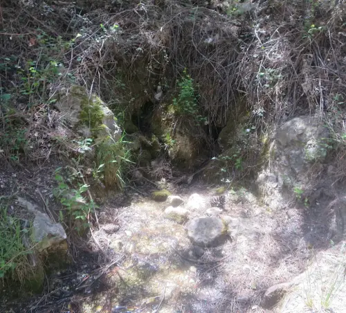 Fuentes-Coto-de-la-Mina-Riopar