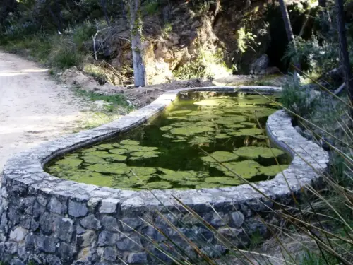 Fuentes-De-la-Guitarra-Villaverde-de-Guadalimar