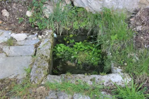 Fuentes-Del-Alamillo-Elche-de-la-Sierra2