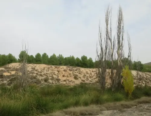 Fuentes-Del-Escaramujo-Fuentealamo