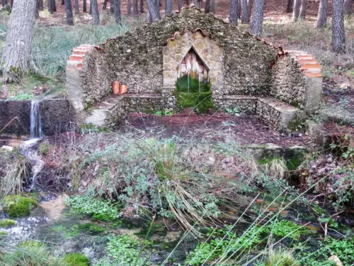 Fuentes-El-Nacimiento-Bienservida2