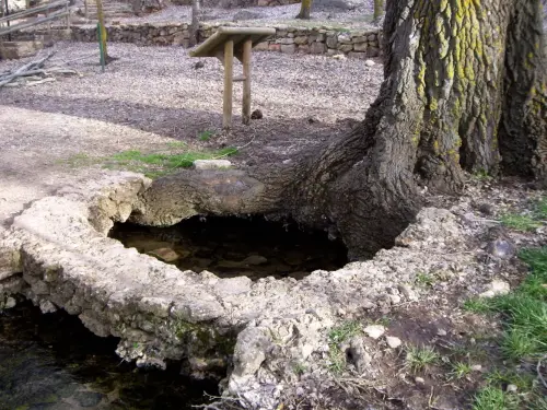 Fuentes-El-Ojuelo-Viveros