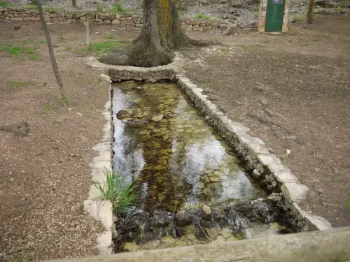 Fuentes-El-Ojuelo-Viveros2