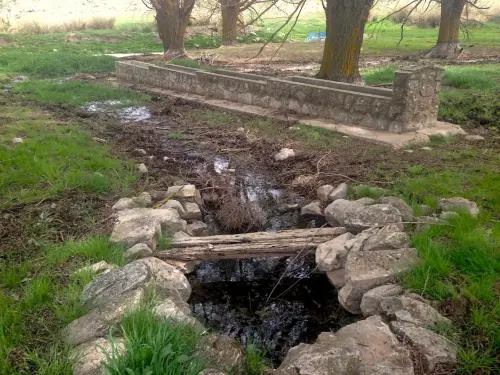 Fuentes-El-Ojuelo-Viveros3