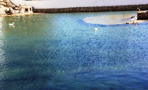 Fuentes-El-Pilar-Elche-de-la-Sierra3