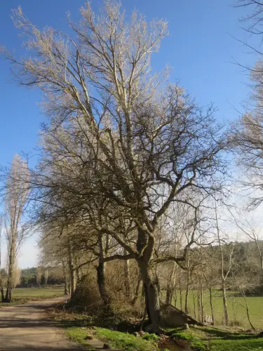 Fuentes-El-Vidrio-Penascosa (1)