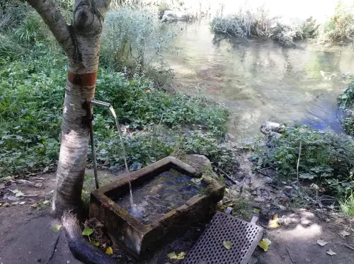 Fuentes-El-Zarzalejo-Nerpio