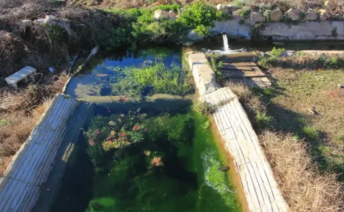 Fuentes-Fontanar-de-las-Vinas-Penas-de-San-Pedro