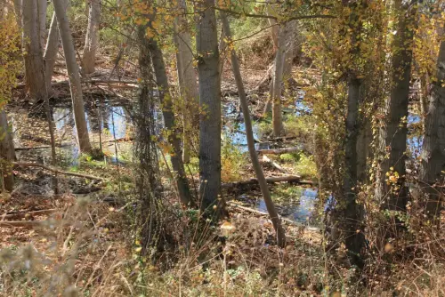 Fuentes-Fontefrida-Ossa-de-Montiel