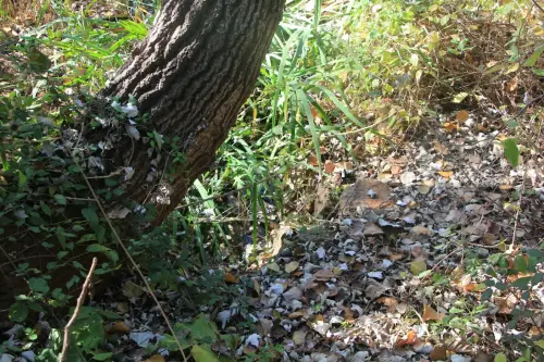 Fuentes-Fontefrida-Ossa-de-Montiel2