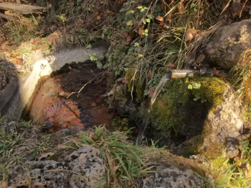 Fuentes-Fuente-Lisa-Paterna-del-Madera