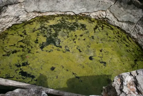 Fuentes-Fuente-Marranera-La-Navica-Yeste2