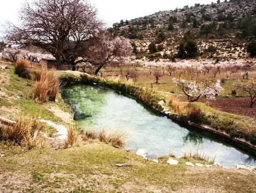Fuentes-Fuente-Sancho-Alatoz