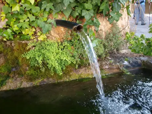 Fuentes-Gontar3a-Yeste