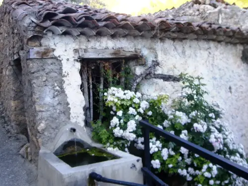 Fuentes-Gontar4-Yeste