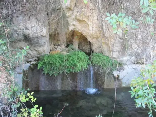 Fuentes-Gontar5-Yeste