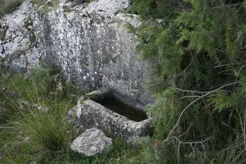 Fuentes-La-Albarda-Ayna