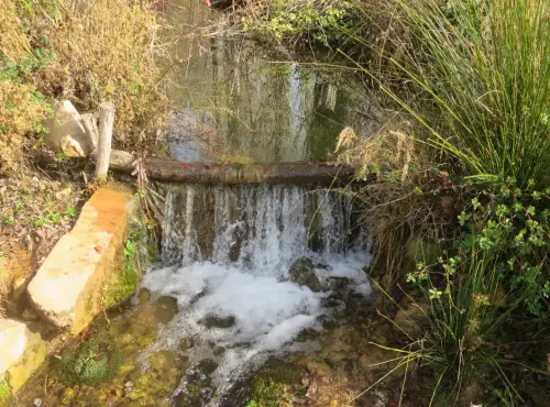 Fuentes-La-Dehesa-LeturJPG