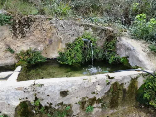 Fuentes-La-Graya-Yeste