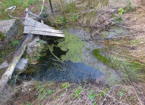 Fuentes-La-Juansomera-Paterna-del-Madera
