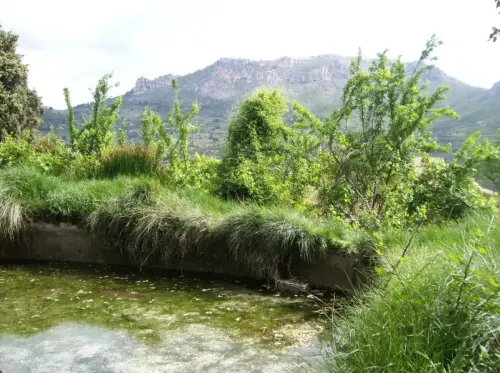 Fuentes-La-Moraleda-Yeste