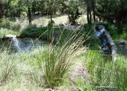 Fuentes-La-Moraleda-Yeste2JPG