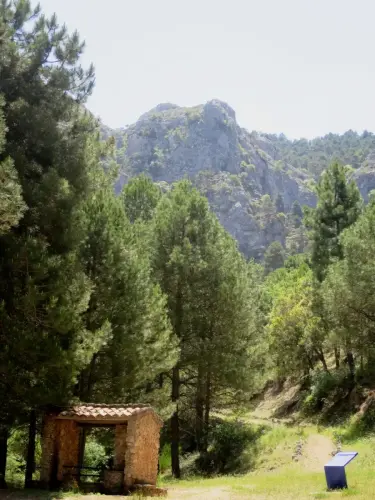 Fuentes-La-Pileta-Bienservida