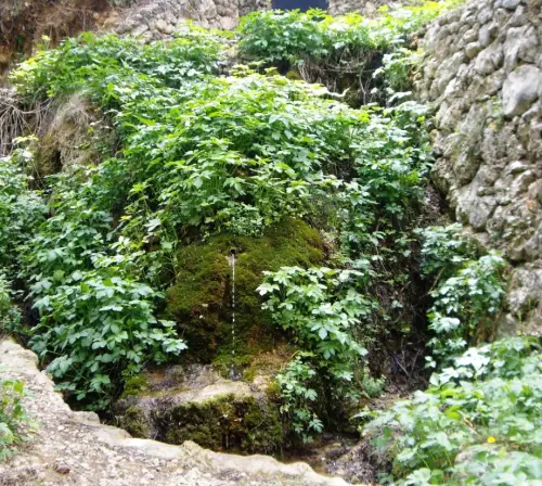 Fuentes-La-Tobica-Tinjarra-Yeste