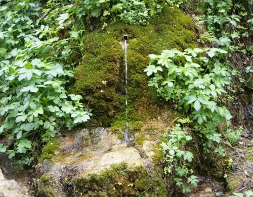 Fuentes-La-Tobica-Tinjarra-Yeste2