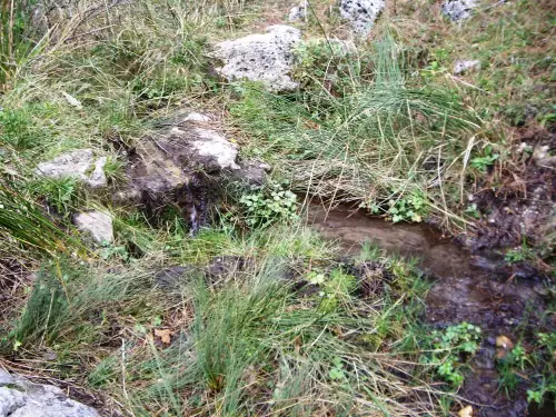 Fuentes-La-Tobica-Tinjarra-Yeste3