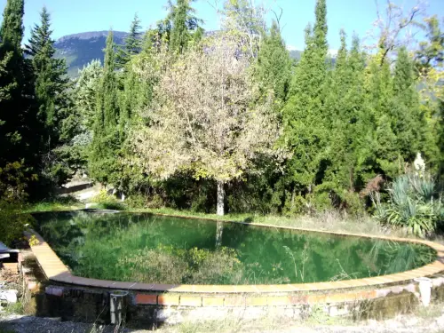 Fuentes-La-Torre-de-La-Raspilla-Yeste