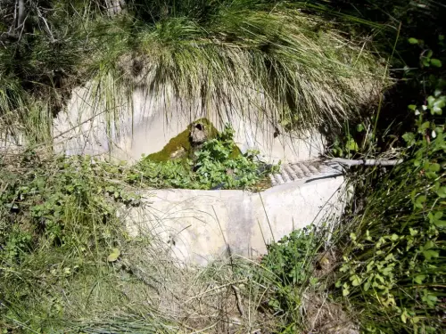 Fuentes-Las-Aceas-Yeste