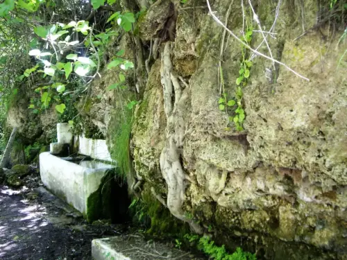 Fuentes-Los-Alejos-Molinicos