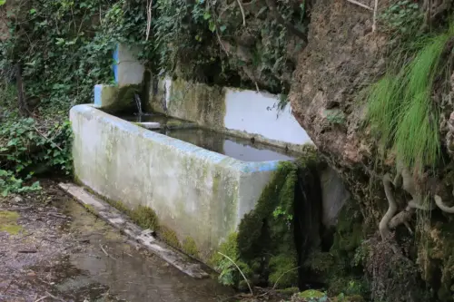 Fuentes-Los-Alejos-Molinicos2a