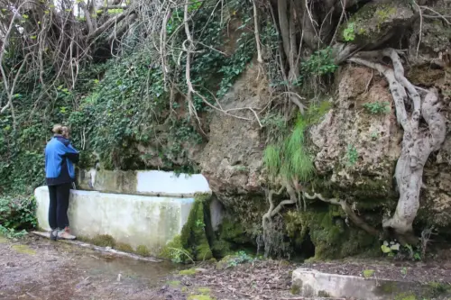 Fuentes-Los-Alejos-Molinicos2b