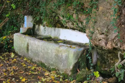 Fuentes-Los-Alejos-Molinicos2c