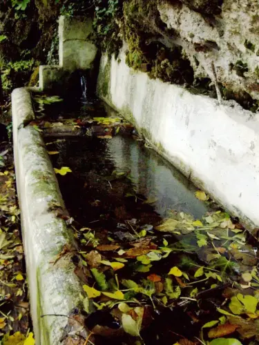 Fuentes-Los-Alejos-Molinicos3