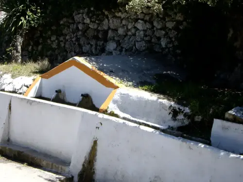 Fuentes-Los-Alejos-Molinicos4