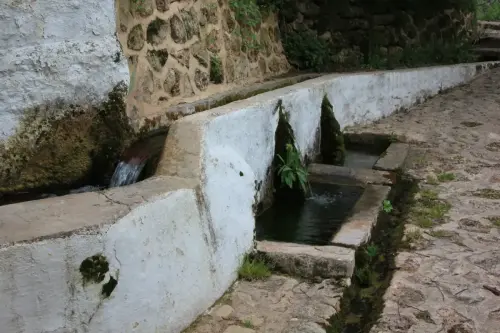 Fuentes-Los-Alejos-Molinicos5