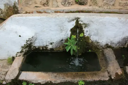 Fuentes-Los-Alejos-Molinicos6