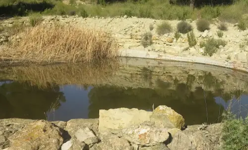 Fuentes-Los-Ballesteros-Tobarra