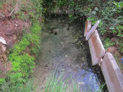 Fuentes-Los-Banos-Cenajo-Hellin